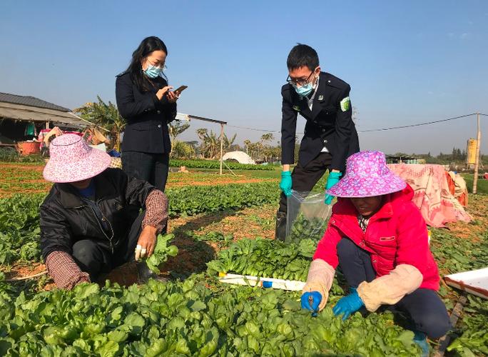 我市加强农产品质量安全监管保障春节稳定供给