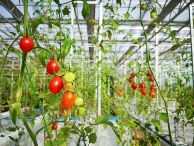 四月乡村 | 当植树节遇上“太空种子” 给地球点“颜色”看看