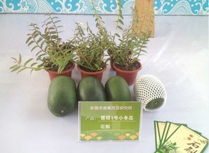 百余种莞产名优农产品等你来
