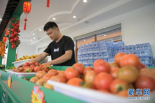 黑龙江肇东 农业生态观光园助力脱贫增收