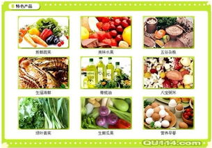 中山东区工厂蔬菜批发送货上门