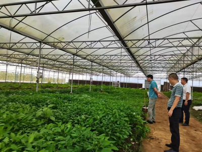 【“质量月”系列6】遂溪县市场监管局开展体系认证调研 推进企业产品质量提升