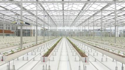 全力推进“三个一批” 集聚高质量发展强劲动能