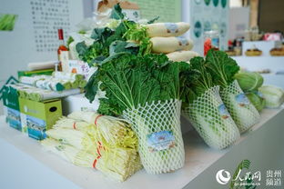 国内外万余种农特产品 亮相 2019贵阳农交会 高清组图