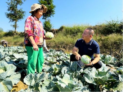 合力超市 搭建田间与餐桌的 惠民桥梁
