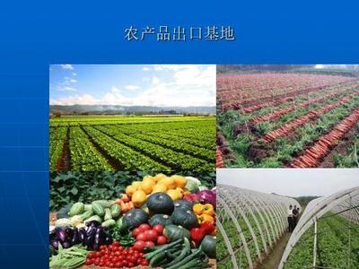 全省农产品出口贸易高质量发展线上培训班成功举办