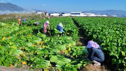 《2020年农产品质量安全工作要点》发布,第57届法国国际农业博览会开幕