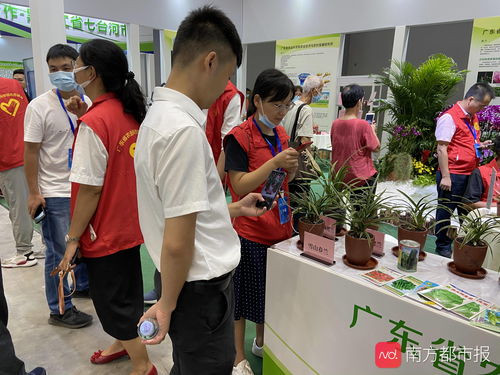 八大展馆,上千种名特优新农产品,江门市农博会开幕