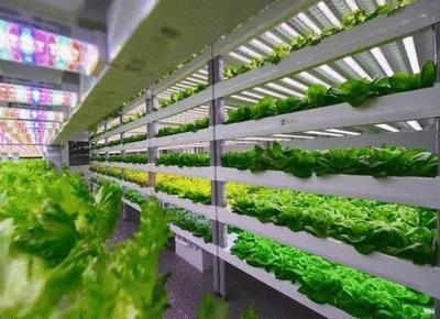 全市唯一!柯城区被列入全省农村综合改革集成建设项目试点单位