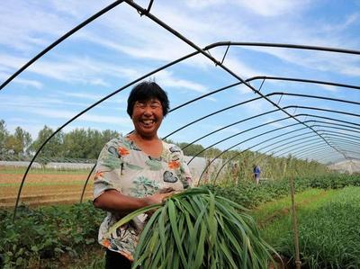 在乡下种植什么容易赚钱 农民种植什么最挣钱,最稳定