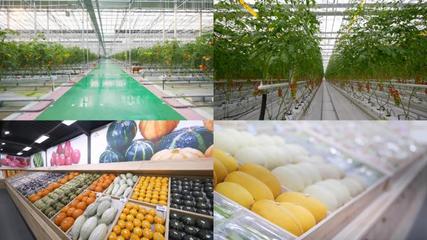 超市农产品超市农产品