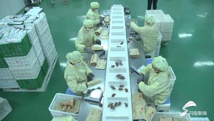 枣庄山亭发展红薯深加工 "土疙瘩"变身"金元宝"