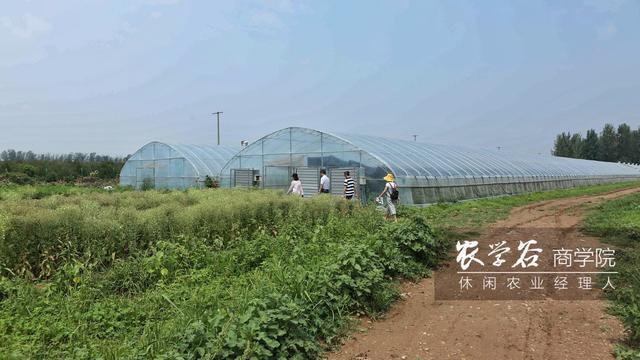 新农人做休闲农业,农业收入是基础,怎么选择你要种植的农产品?