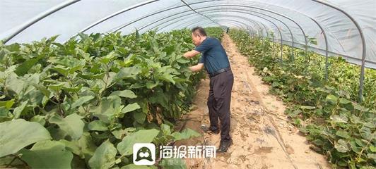 武城县农业农村局:坚持源头治理 做到农产品质量安全监管"零容忍"