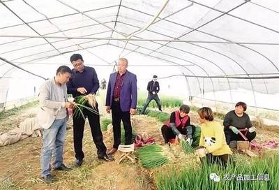 邯郸滏东现代农业产业园“亩产”为何那么高