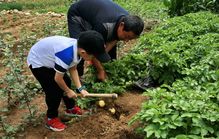 如何做好品牌农业 从2个方面入手让你事半功倍