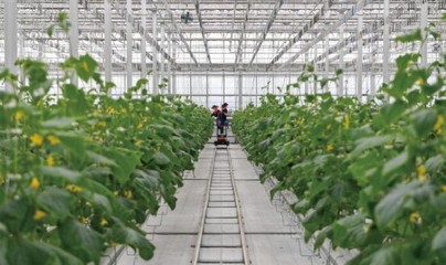 加快农业物联网建设促进智慧农业高质量发展 --以重庆市为例