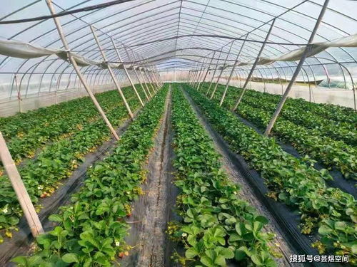 芸煜农创 助力临海农产品品牌建设正当时