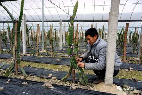 我区新增两家市级创业孵化基地
