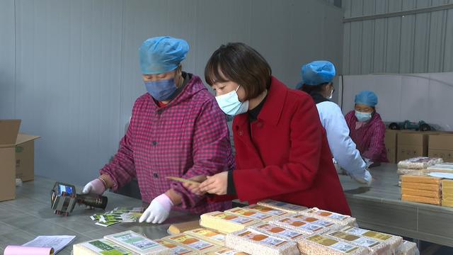 「贯彻二十大 谋划新发展」这些企业在行动