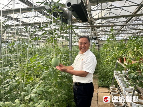 村村有好戏 特色农业走出 硒 望之路