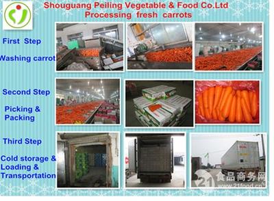 寿光市裴岭蔬菜食品