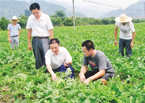 经济日报多媒体数字报刊