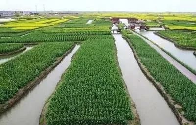 喜讯 我市又有3个入选
