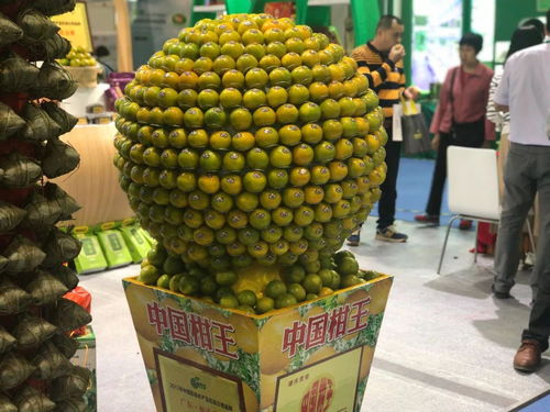 第八届广东现代农业博览会开幕,3000多种优质农产品等着你