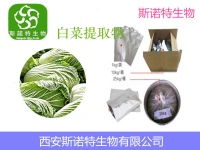 大白菜供应 大白菜供应价格 报价 大白菜供应品牌厂家