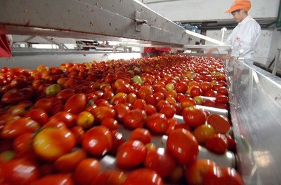 新疆为世界生产火红“阳光食品”