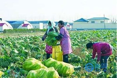 聚焦山东省两会:探寻山东品牌战略下的“青岛作为”
