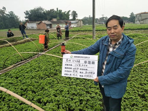 成都造 放心用⑨丨从土壤到餐桌 成都企业致力提供绿色农业解决方案
