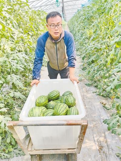 乔帅 新农人 玩转高科技农业