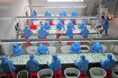 随州“四大产业基地"!壮壮壮!