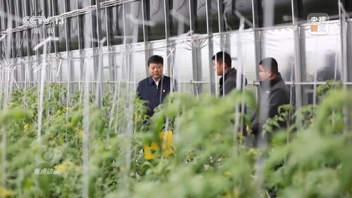 焦点访谈丨履职见证 非凡五年