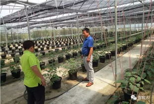 农牧人参观园厨坊农业基地 双方共商食品安全之道