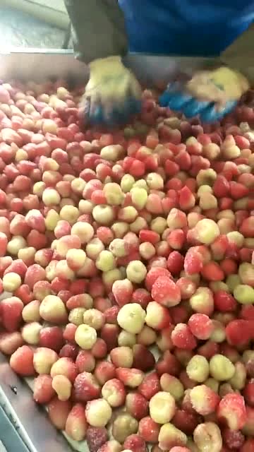 等进了食品厂才发现,草莓酱都是用这种草莓,不敢吃了