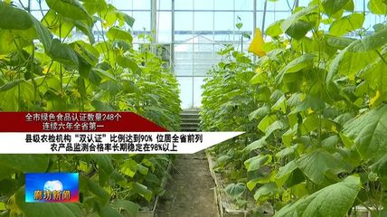 廊坊广电·头条丨我市大力推进"国家农产品质量安全市"创建 守护群众"舌尖上的安全"