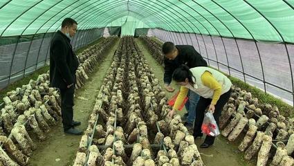 乐安县戴坊镇积极开展农产品农药残留检测工作