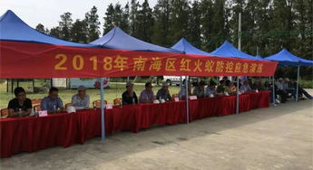 南海区人民政府门户网站
