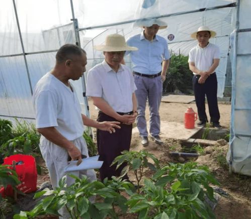 蔡绪安到阎家河镇调研防汛 交通 农业等重点工程项目建设
