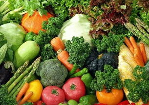 农产品种植可享受增值税免税政策详解