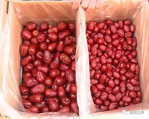 临县八大类百余种绿色农产品年货走俏省城，浅析农产品种植之道