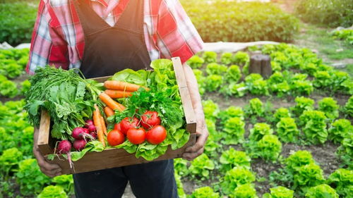 中食展聚焦乡村振兴，助力中国农产品新增长