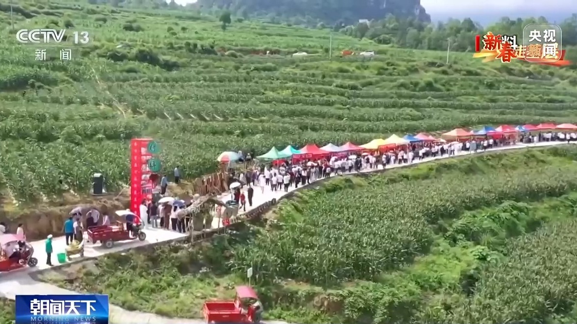 新春走基层丨把传统集市搬到线上 他们让农产品走出大山